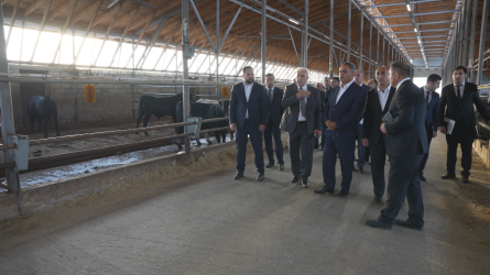 Goranboyda “2026–2030-cu illər üçün Dövlət Proqramı”-nın icrası uğurlu davam edir