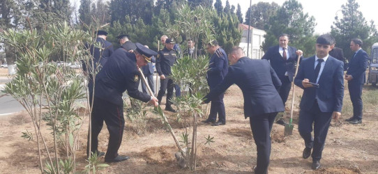 Goranboyda “27 sentyabr –Anım Günü” ilə bağlı ağacəkmə aksiyası keçirildi