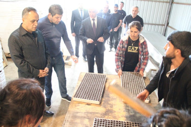 Goranboyda aqrar sektorun aparıcı sahələrindən biri olan tütünçülük inkişaf etdirilir
