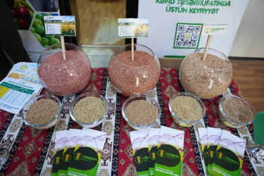 Goranboyda “Aqrar sahədə dövlətin dəstək mexanizmləri” mövzusunda panel müzakirələr və toxum sərgi-satış yarmarkası keçirildi