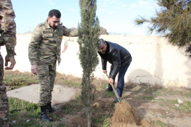 Goranboyda ağacəkmə aksiyası keçirildi