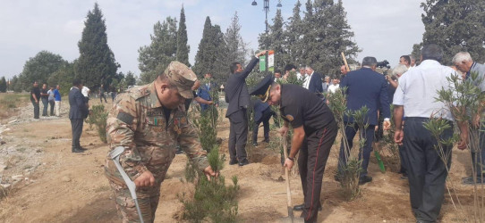 Goranboyda “27 sentyabr –Anım Günü” ilə bağlı ağacəkmə aksiyası keçirildi