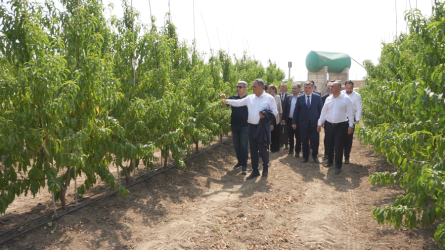 Goranboyda Dövlət Proqramından irəli gələn məsələlərin uğurla icrası davam edir