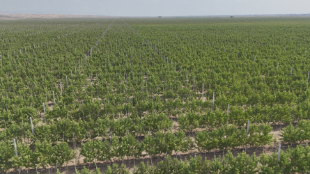 Goranboyda Dövlət Proqramından irəli gələn məsələlərin uğurla icrası davam edir