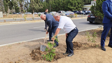 Goranboyda “27 sentyabr –Anım Günü” ilə bağlı ağacəkmə aksiyası keçirildi