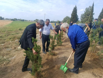 Goranboyda “27 sentyabr –Anım Günü” ilə bağlı ağacəkmə aksiyası keçirildi