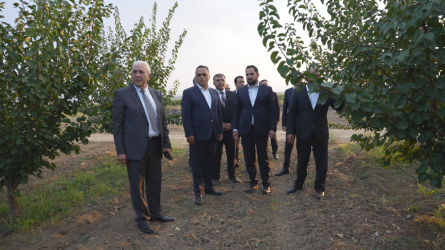 Goranboyda Dövlət proqramından irəli gələn məsələlər uğurla icra olunur