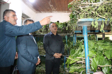 Goranboyda kümçülük təsərrüfatına baxış keçirildi