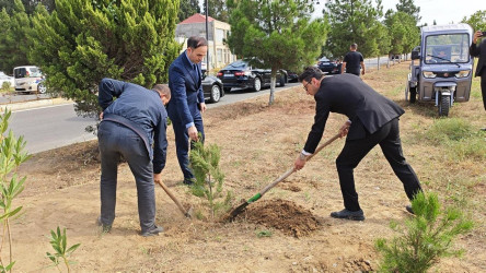 Goranboyda “27 sentyabr –Anım Günü” ilə bağlı ağacəkmə aksiyası keçirildi