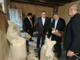 Goranboyda İcra başçısı Şadılı kəndində 160 illik tarixə malik su dəyirmanına baxış keçirdi