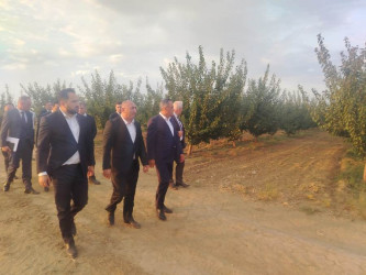 Goranboyda Dövlət proqramından irəli gələn məsələlər uğurla icra olunur