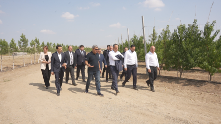 Goranboyda Dövlət Proqramından irəli gələn məsələlərin uğurla icrası davam edir