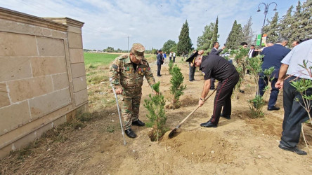 Goranboyda “27 sentyabr –Anım Günü” ilə bağlı ağacəkmə aksiyası keçirildi