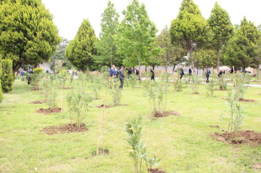 Ümummilli Liderimiz Heydər Əliyevin anadan olmasının 101-ci ildönümü ilə bağlı, ümumrayon tədbiri 2024-05-10