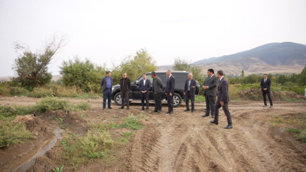 Goranboy rayonunda tütünçülüyün inkişafı və məhsul yığımının gedişi diqqət mərkəzindədir