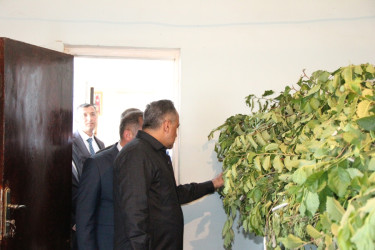 Goranboyda baramaçılığın inkişafı istiqamətində işlər davam etdirilir