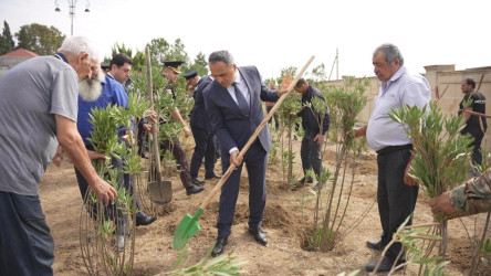Goranboyda “27 sentyabr –Anım Günü” ilə bağlı ağacəkmə aksiyası keçirildi