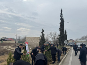 Goranboyun 2026-cı il üçün "Gənclər Paytaxtı" seçilməsi ilə bağlı “Gənclər həftəsi” çərçivəsində ağacəkmə aksiyası keçirildi