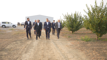 Goranboyda Dövlət proqramından irəli gələn məsələlər uğurla icra olunur