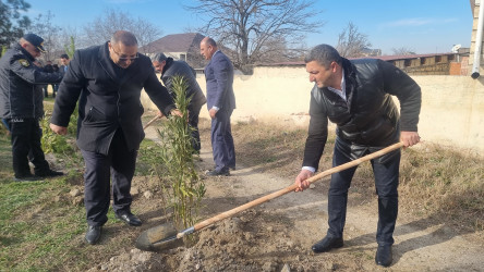 Goranboyda ağacəkmə aksiyası keçirildi