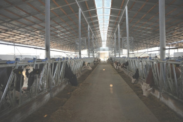 Goranboyda Dövlət Proqramının icrası ilə bağlı layihələr təhlil olunur