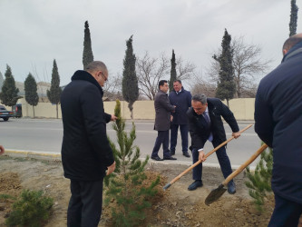 Goranboyun 2026-cı il üçün "Gənclər Paytaxtı" seçilməsi ilə bağlı “Gənclər həftəsi” çərçivəsində ağacəkmə aksiyası keçirildi