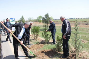 “Yaşıl dünya naminə həmrəylik ili” ilə bağlı, ağacəkmə aksiyası. 2024