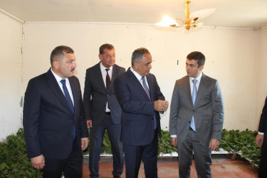 Baramaçılığın inkişaf etdirilməsi diqqət mərkəzindədir