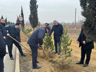 Goranboyun 2026-cı il üçün "Gənclər Paytaxtı" seçilməsi ilə bağlı “Gənclər həftəsi” çərçivəsində ağacəkmə aksiyası keçirildi