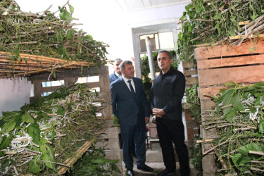Goranboyda kümçülük təsərrüfatına baxış keçirildi
