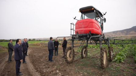 Goranboy rayonunda tütünçülüyün inkişafı və məhsul yığımının gedişi diqqət mərkəzindədir