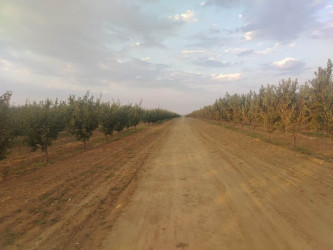 Goranboyda Dövlət proqramından irəli gələn məsələlər uğurla icra olunur