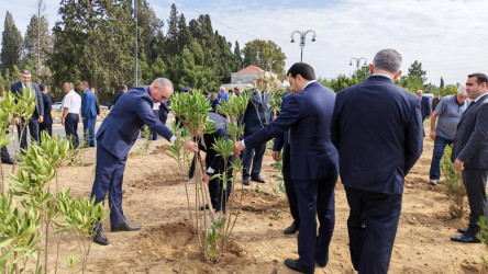 Goranboyda “27 sentyabr –Anım Günü” ilə bağlı ağacəkmə aksiyası keçirildi