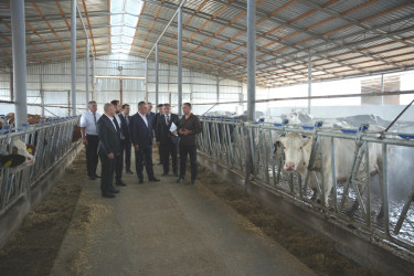 Goranboyda Dövlət Proqramının icrası ilə bağlı layihələr təhlil olunur