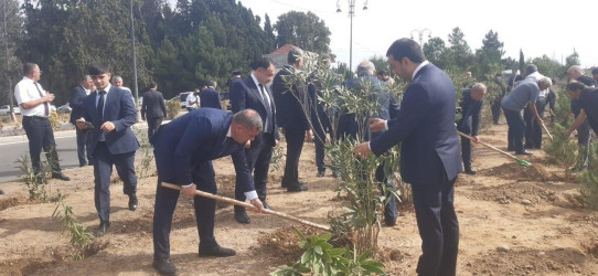 Goranboyda “27 sentyabr –Anım Günü” ilə bağlı ağacəkmə aksiyası keçirildi